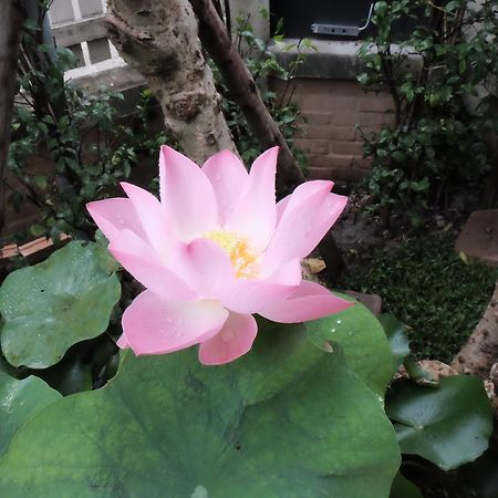 18 In Town Homestay Chiang Mai Exterior photo